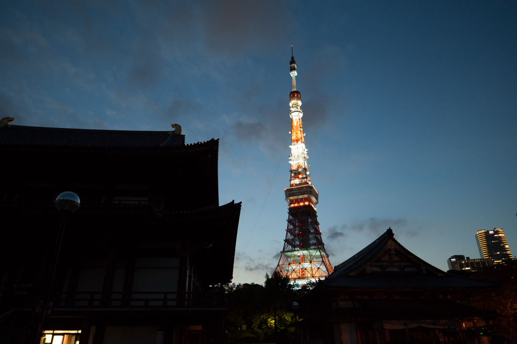 東京タワー増上寺から