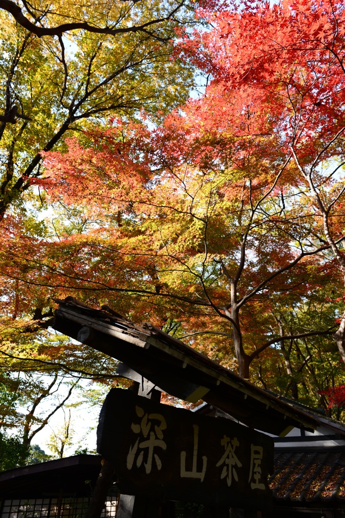 深大寺