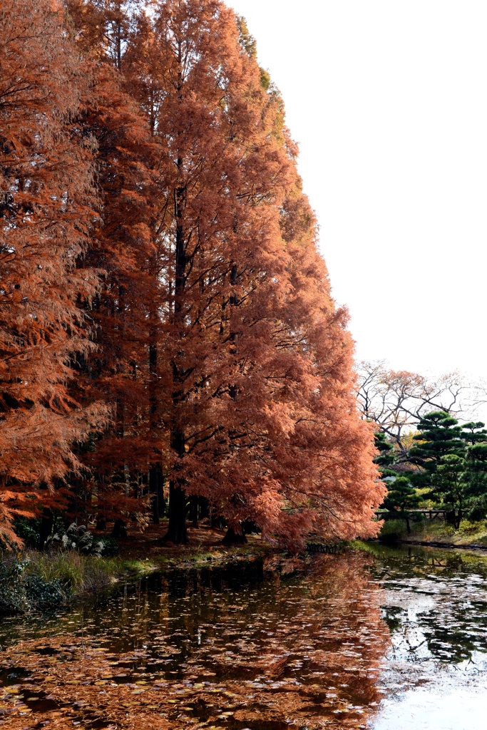 神代植物公園