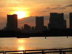 お台場の夜景