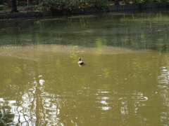公園内