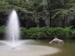 公園内