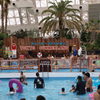 Tokyo Summerland