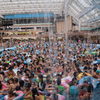 Tokyo Summerland2