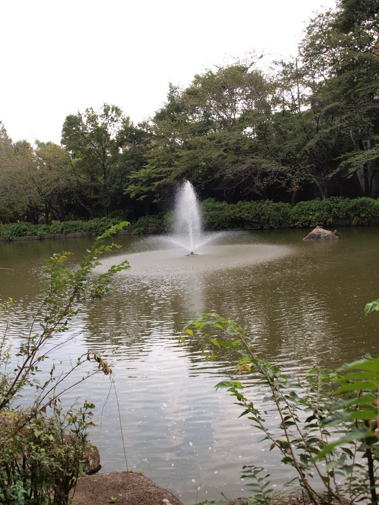 公園内