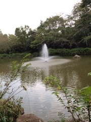 公園内