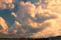 IMG_0005_01