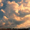 IMG_0005_01