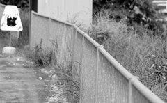 IMG_0164_01