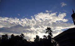 IMG_0392_01