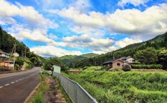 田舎道