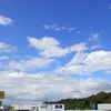 IMG_0124_01