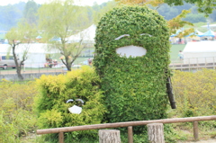 モリコロ