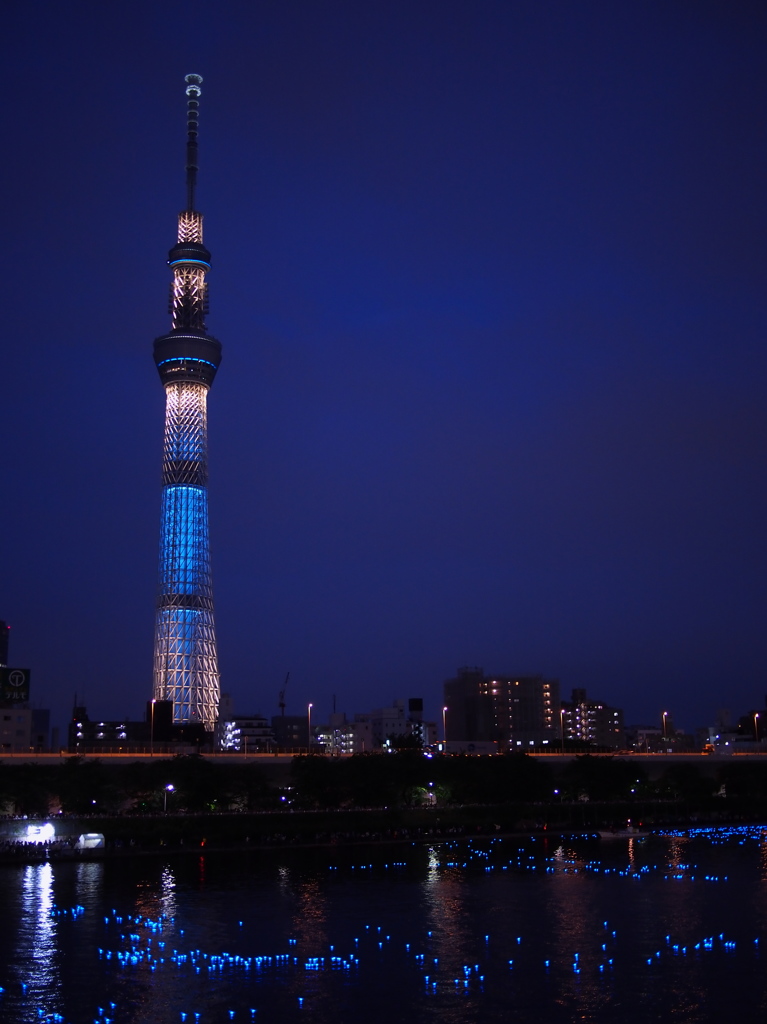 TOKYO HOTARU