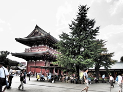 ASAKUSA #17