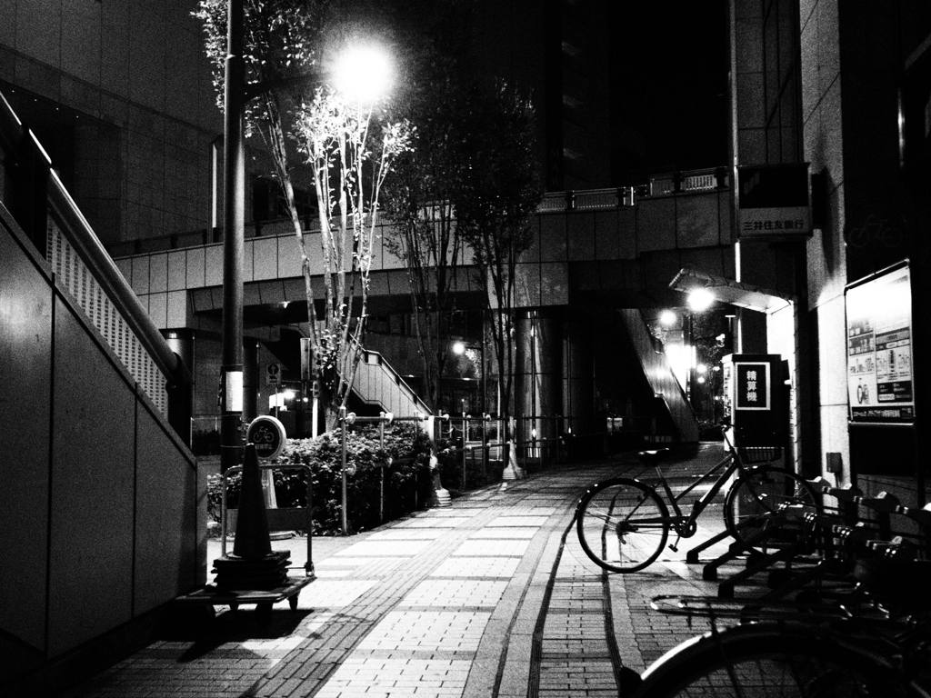 NOCTY #3