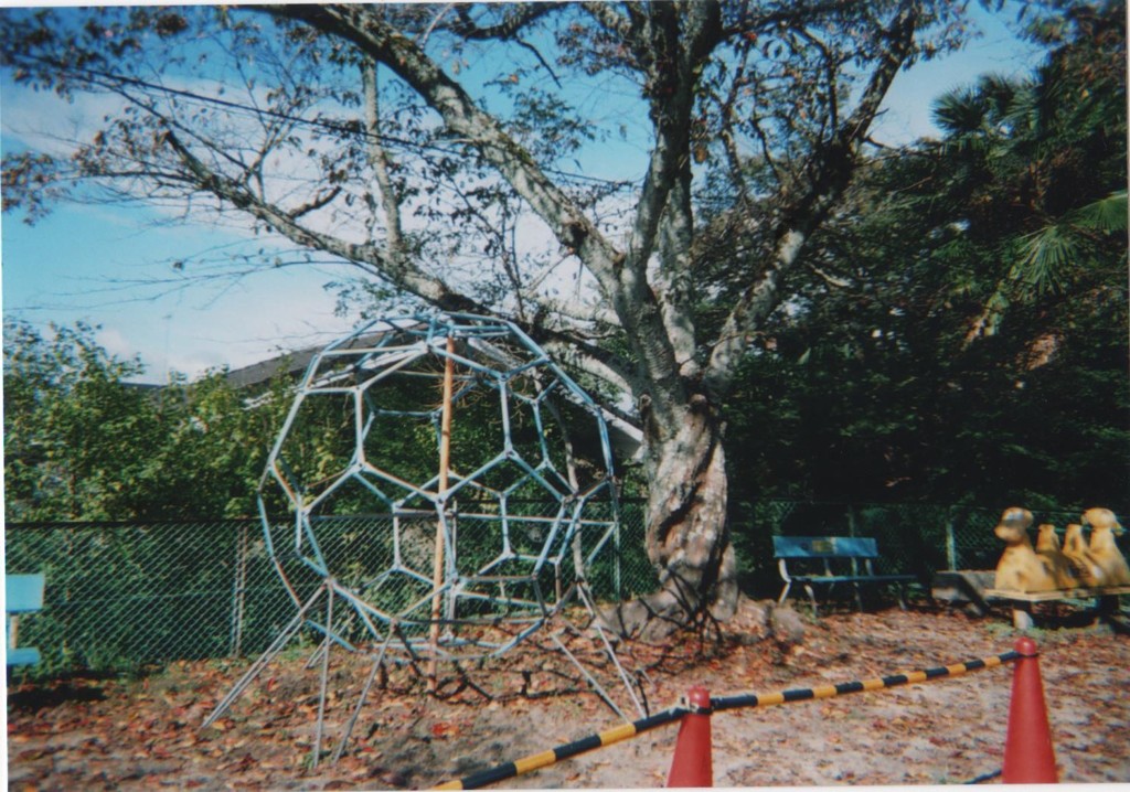 J005