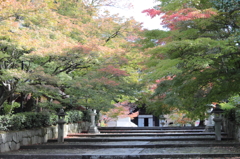 先
