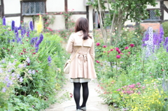 ここは
