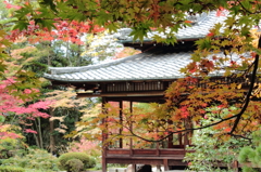 囲