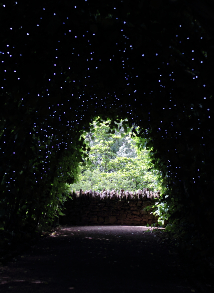 green tunnel
