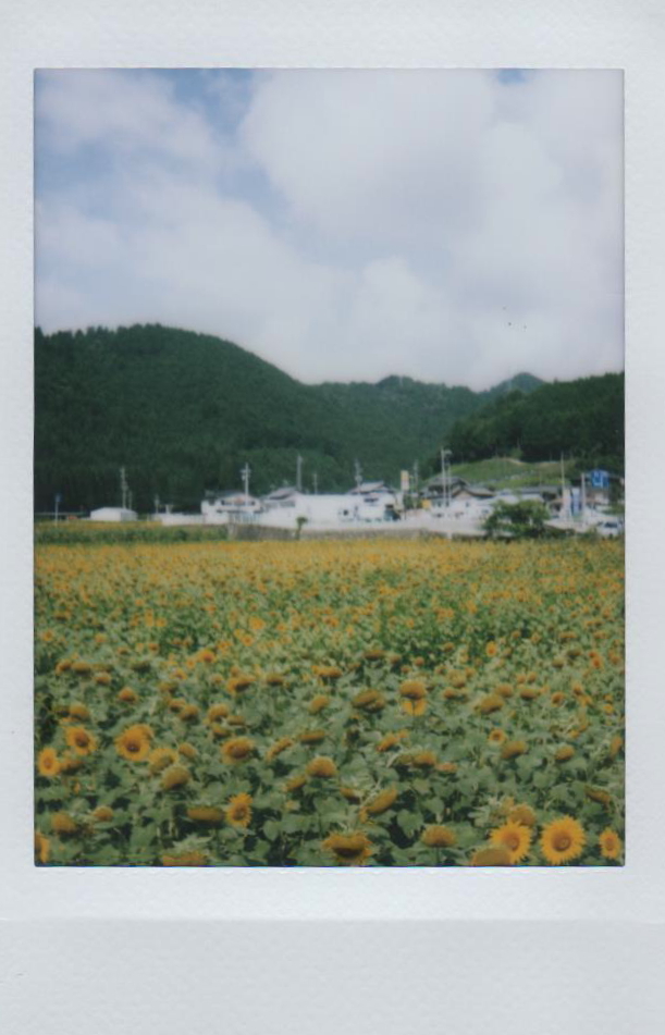 CH008