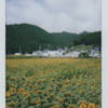 CH008