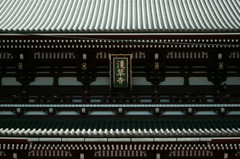 IMGP1550