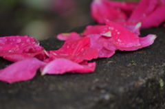 It's rainy today　＃１