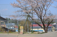 校庭