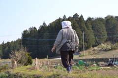 おばあちゃん