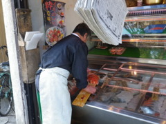 魚