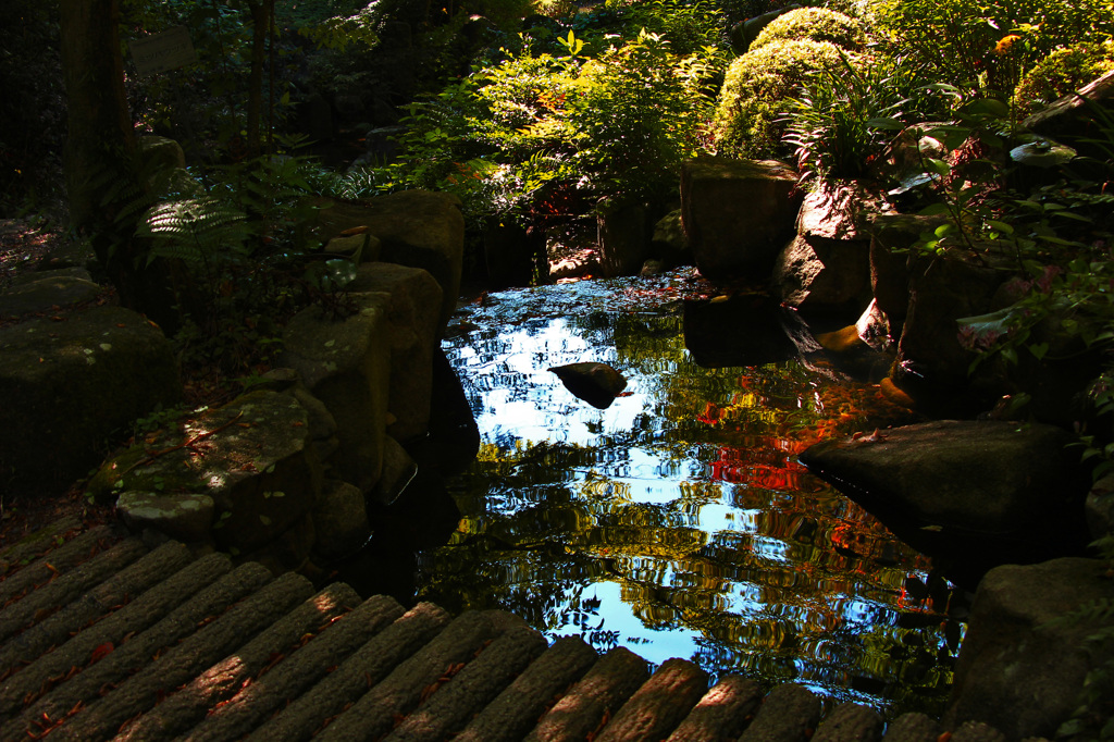 秋写す水鏡