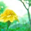 陽だまりのなかで