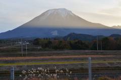 ﾍﾞｽﾃｽﾄ
