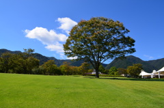 秋空