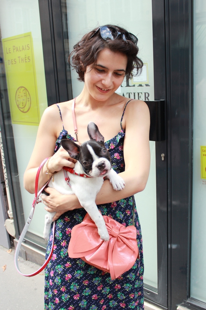 parisの犬　N'５