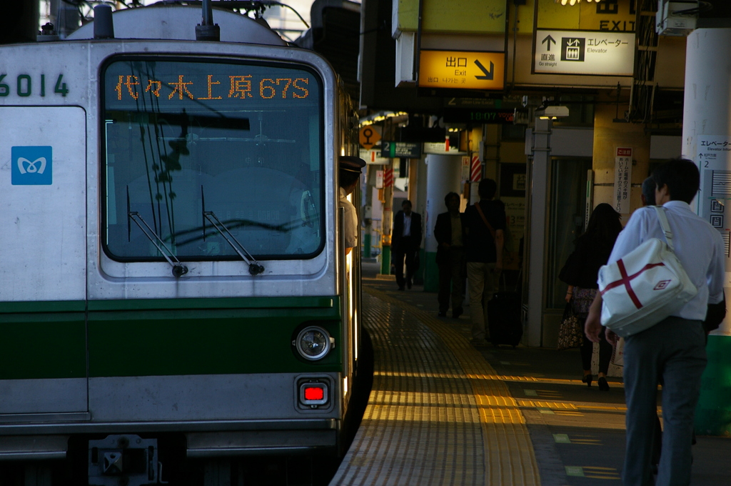 夕日に照らされ