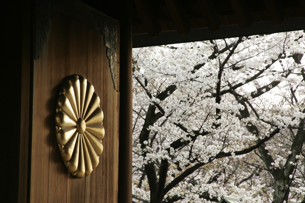 菊と桜