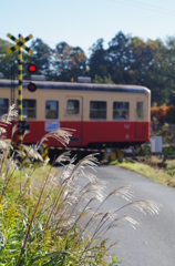 晩秋の小湊鉄道