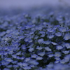 藍の世界