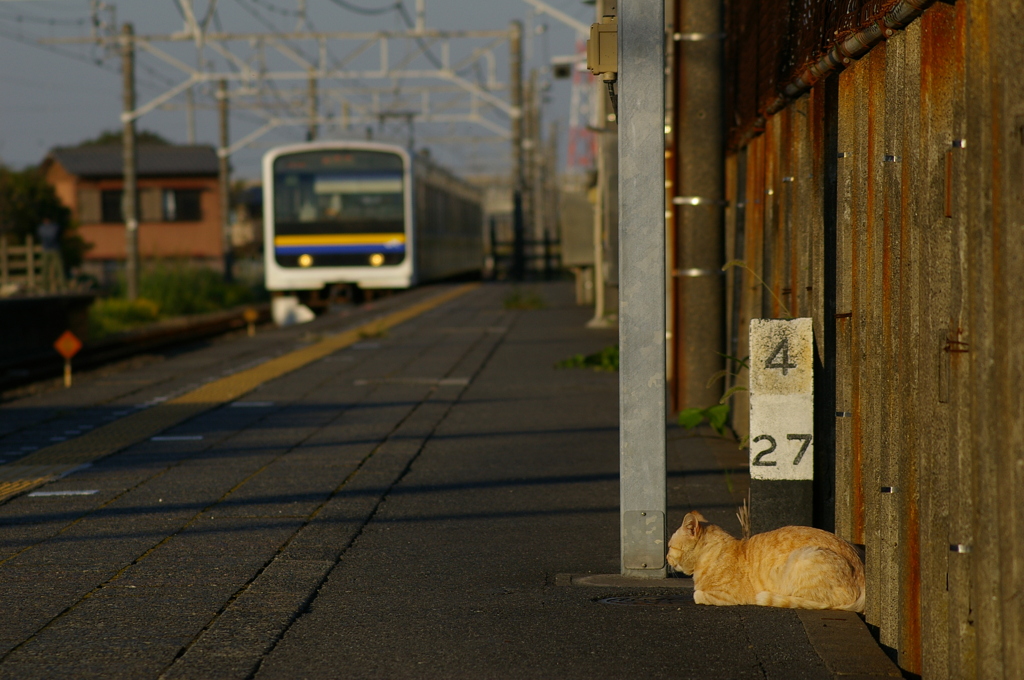 やっと来たか...