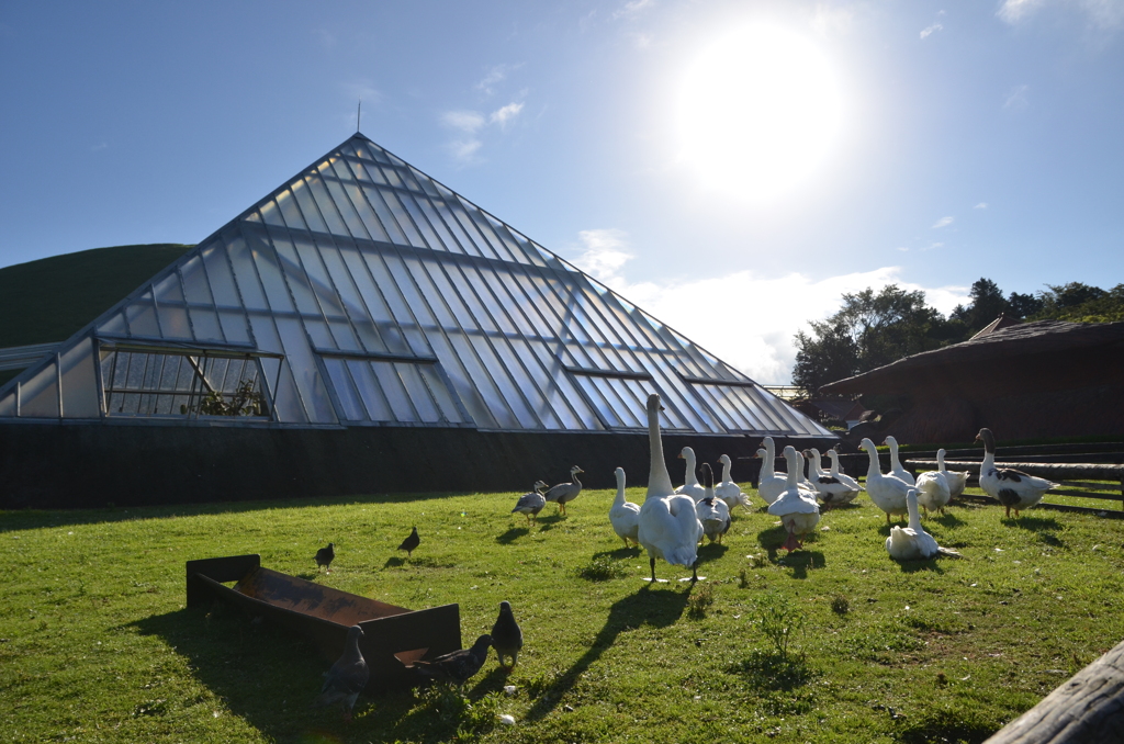 何を感じたのか？