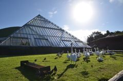 何を感じたのか？