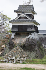 熊本城の桜-5