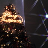 【新宿TOWER RECORD前のクリスマスツリー】