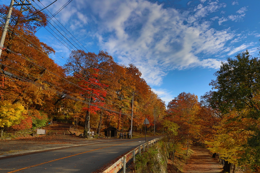 【日光の紅葉道】