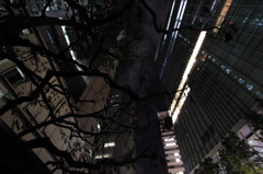 大都会「新宿」から見上げた夜空