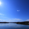 【SUN SUN SUN】