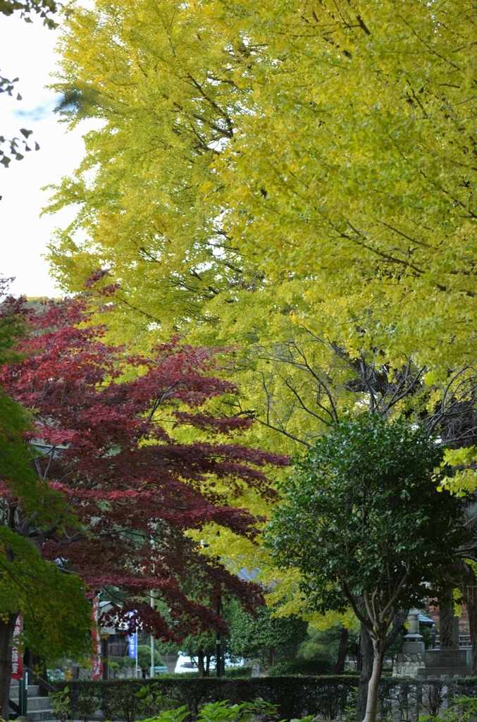 ばんな寺-7